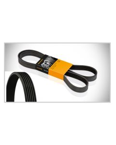 Keilrippenriemen CONTITECH 6PK1580