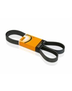 Keilrippenriemen CONTITECH 6PK1110