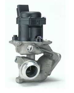AGR Ventil DELPHI EG10395-12B1