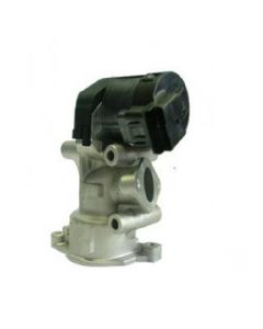 AGR Ventil DELPHI EG10396-12B1